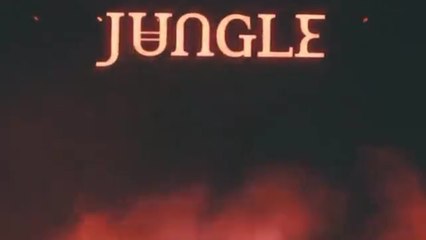 Exclusive Interview with Jungle at Coachella 🎶
