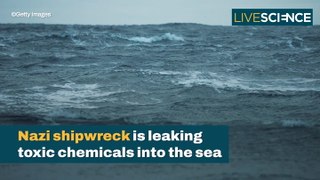 German Shipwreck Is Leaking Chemicals Into The Sea