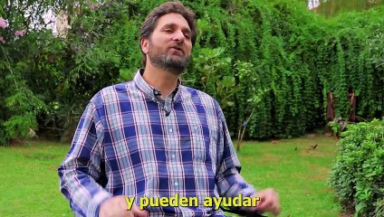 6 Plantas que bajan los Triglicéridos sin pastillas de forma natural