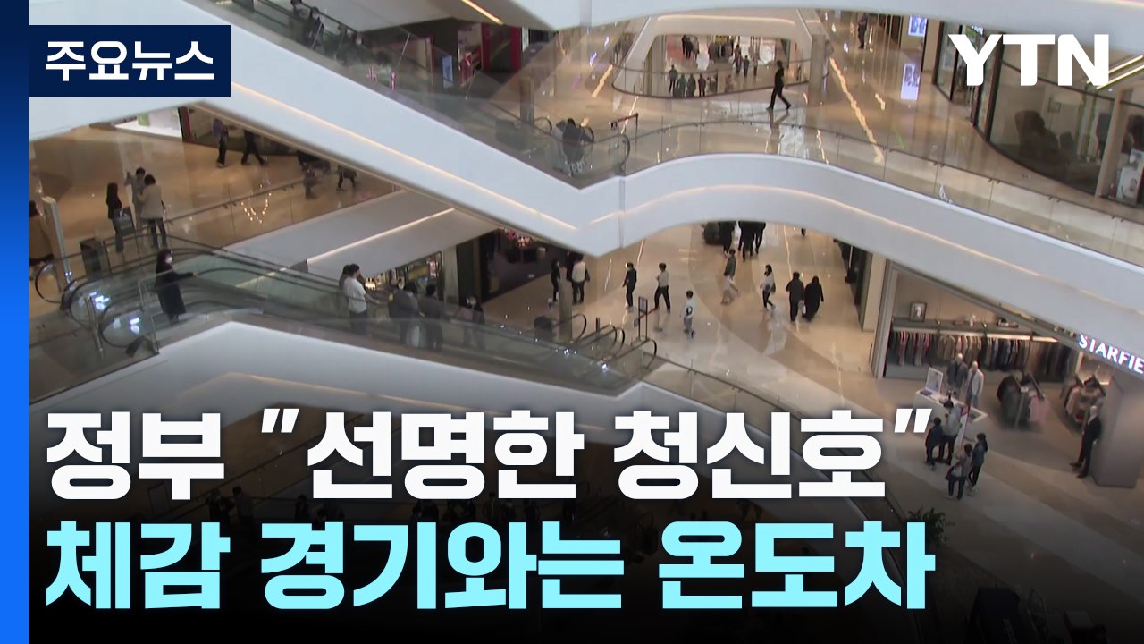 정부는 "선명한 청신호"...체감 경기와 온도차 / YTN