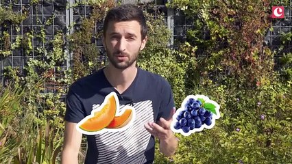 Les tendances food de septembre - Le temps d'un café avec le Chef Liguori