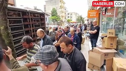 Yumurta tavuğu dağıtımında uzun kuyruklar oluştu