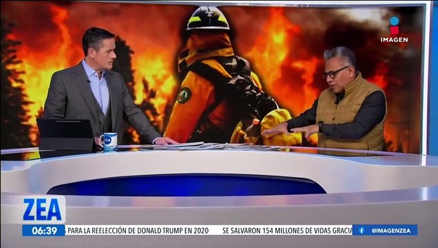 Descuido humano y altas temperaturas, principales causas de incendios forestales