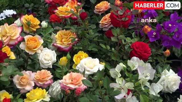 İzmir Büyükşehir Belediye Başkanı Cemil Tugay, Bayındır Çiçek Festivali'ne katıldı