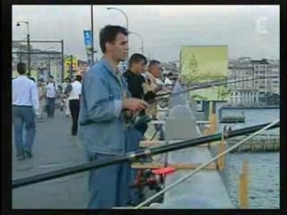 Femmes, Turques et Laïques : Parcours en France et en Turquie