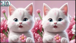 Cute Kitty Cats Battle of beauty 02