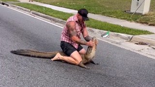 Floride : un combattant de MMA capture à mains nues un alligator qui errait dans la rue