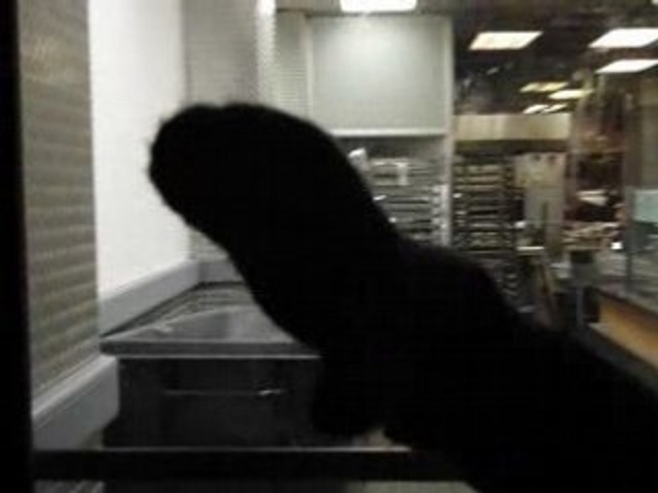 Nouillorc, Nouillorc!