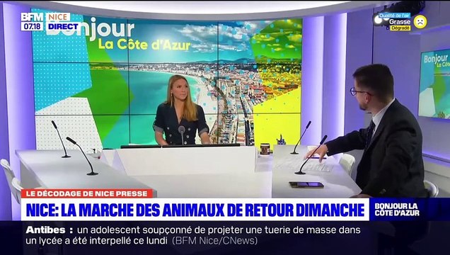 À ne pas rater : une parade des animaux sur la Promenade des Anglais de Nice ce week-end