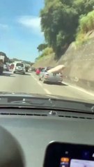 Motorista é flagrado transportando porco amarrado de forma irregular em rodovia de SP