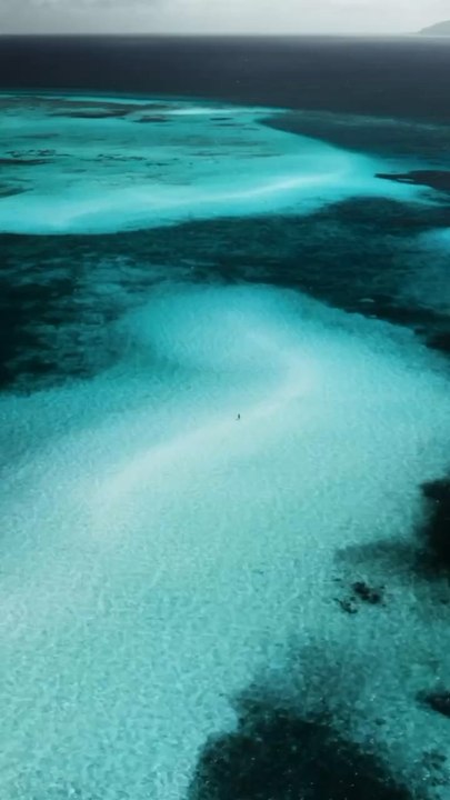 LE PLUS BEAU banc de sable d’Indonesie [@agnesnicolee]