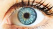 The Health of Your Eyes Can Indicate True Biological Age, Study Shows