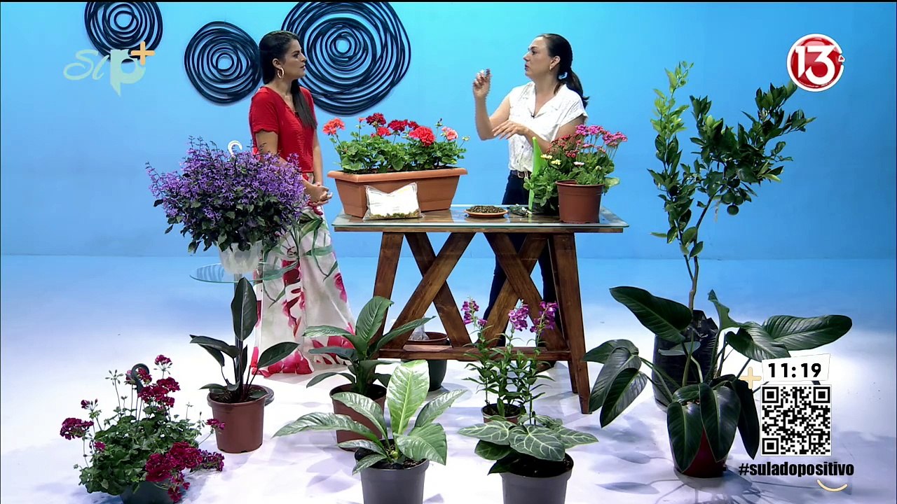 Su Lado Positivo | Programa Completo 22 de abri...