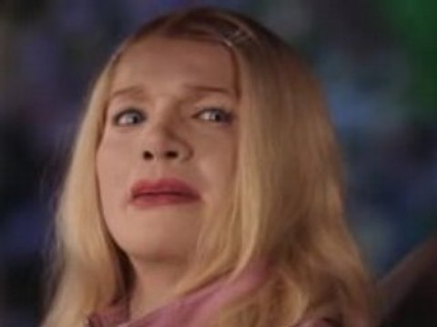 FBI Fausses Blondes Infiltrées