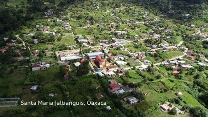 Audi Go Green, por una movilidad más sustentable en México