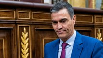 El análisis de la carta de Pedro Sánchez