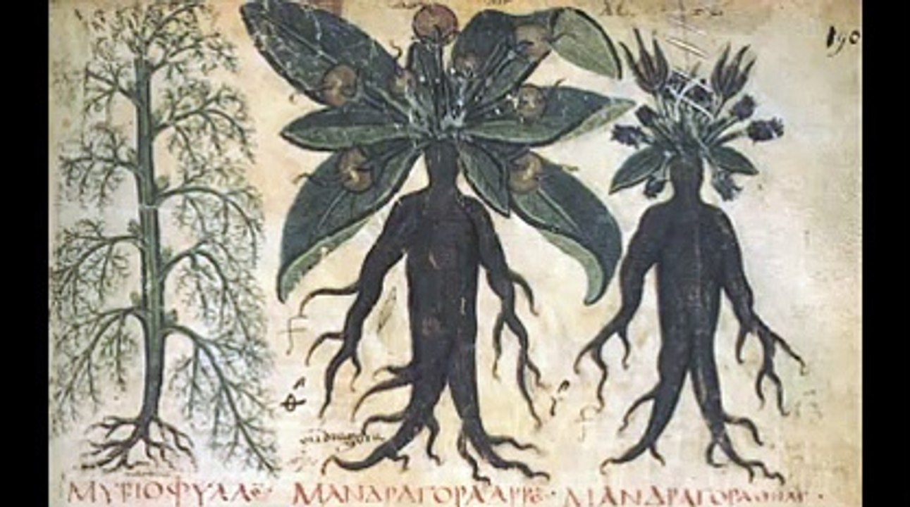 The Mandrakes by Clark Ashton Smith