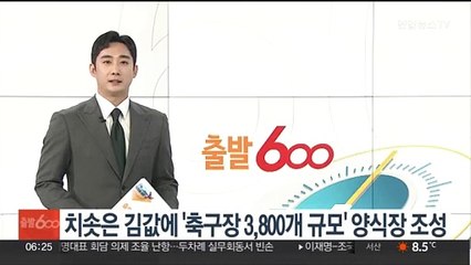 치솟은 김값에 '축구장 3,800개 규모' 양식장 조성