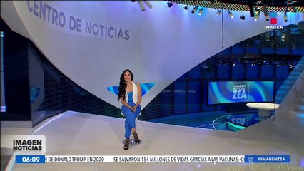 Encuentran una tortuga y dos lobos marinos muertos en Sinaloa