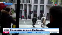 No te puedes perder lo más viral de las redes sociales