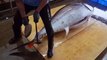 World's Sharpest Tuna Knife！Amazing Giant bluefin tuna cutting Master