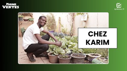 Mains Vertes : Chez Karim