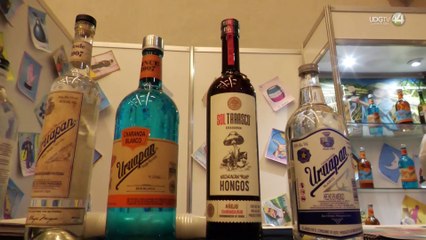 Piratería: el mayor cáncer para los productos con denominación de origen en México y Jalisco