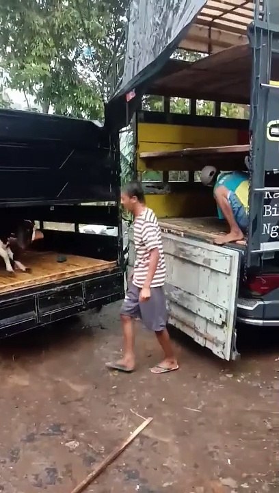 proses muat yg aman dan nyaman