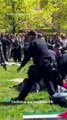 Police Taser detained protester as Pro-Palestine campus protests grow
