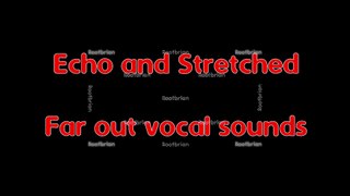 Echo and Stretched - Far out vocal sounds