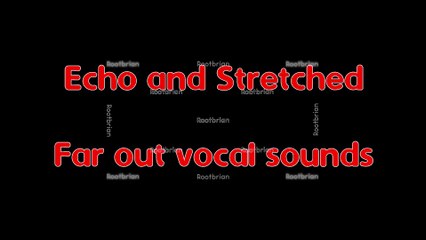 Echo and Stretched - Far out vocal sounds