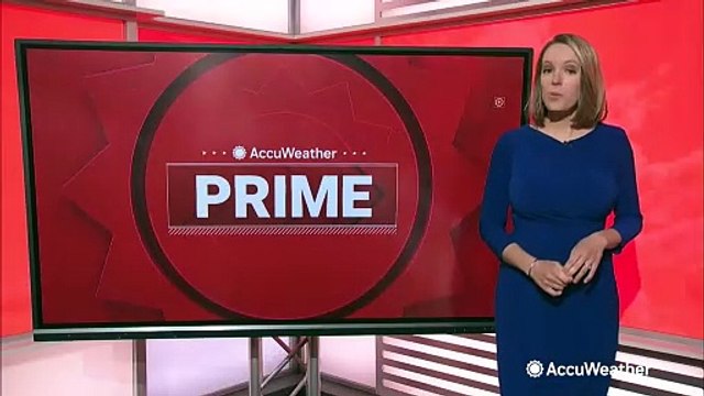 Two broods of cicadas begin to emerge up and down the East Coast