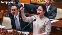 Gerindra Jalin Komunikasi Lewat Puan, Bahas Rencana Pertemuan Prabowo-Megawati
