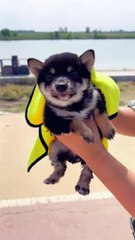 What I plan V/s his plan