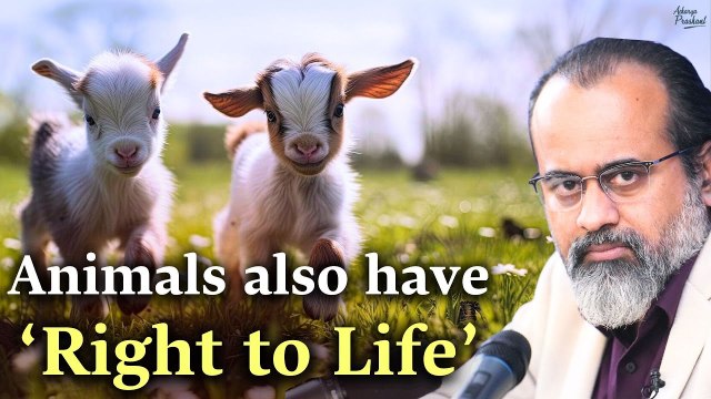 Animals also have ‘Right to Life’ || Acharya Prashant, Session at IIM Ahmedabad 2020