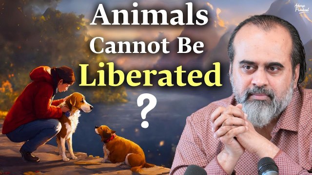 Animals Cannot Be Compassionate or Liberated || Acharya Prashant, IIT Kharagpur session (2020)