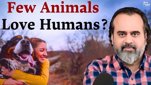 Why are some animals attracted to Humans? || Acharya Prashant, at Goa University (2022)