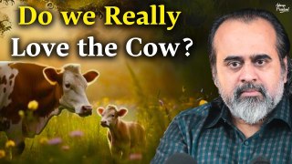 Do you really love the cow? || Acharya Prashant, with MMMUT Gorakhpur (2023)