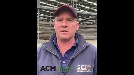 James Kyle, SEJ Leongatha auctioneer | Stock & Land | 26/04/24