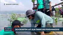 Jaga Ekosistem Laut, KLHK Tanam 5.000 Pohon Mangrove