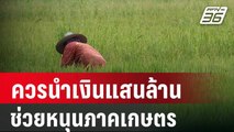 TDRI ชี้ควรนำเงินแสนล้านช่วยหนุนภาคเกษตร | เที่ยงทันข่าว | 26 เม.ย. 67