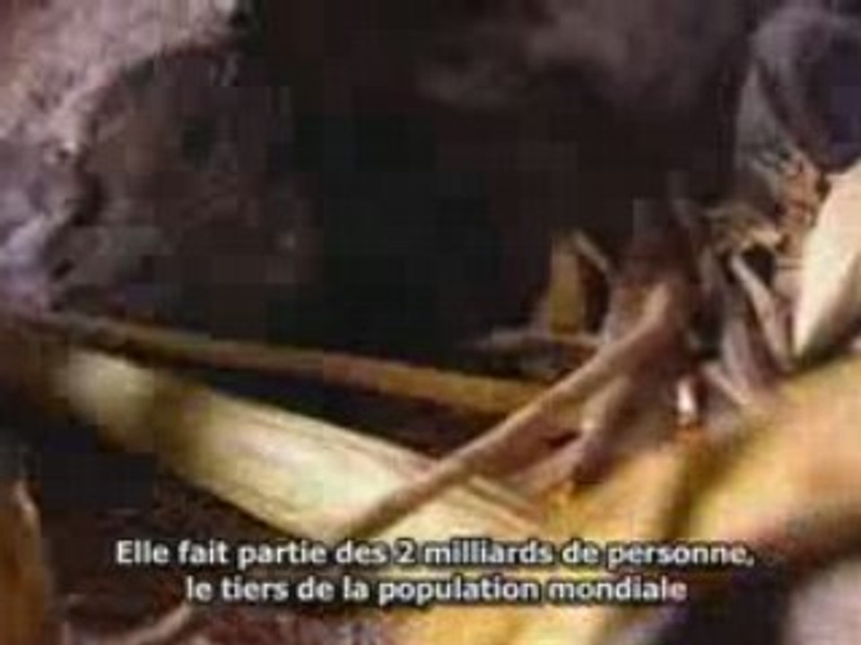 La Grande Arnaque du Réchauffement Climatique 4 de 4