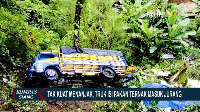 Jatuh Akibat Tak Kuat Menanjak, Truk Bermuatan Pakan Ternak di Gianyar Bali Masuk ke Jurang!