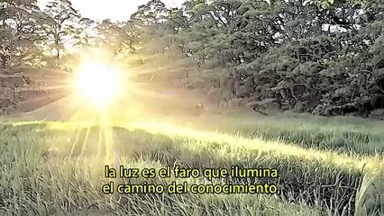 25 ABRIL 2024 | LA EXPRESIÓN DE LA LUZ