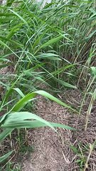 I  Live by my feelings .I have many flaws