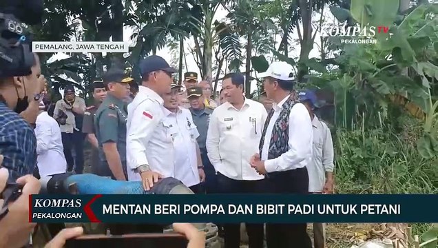 Menteri Pertanian Beri Bantuan Pompa dan Bibit Padi! Produksi Padi Diharapkan Naik 2 Kali Lipat