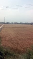 How to mobile convert in computer  you tub channel mobile ko computer kaise banay