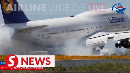 Watch a Lufthansa Boeing Perform a Flawless Touch-and-Go Landing Live ✈️