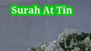 Surah At Tin | Tilawat quran | Beautiful voice | Learn Quran