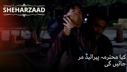 کیا محترمہ پیرائیڈ مر جائیں گی | Sheharzaad - قسط نمبر 51